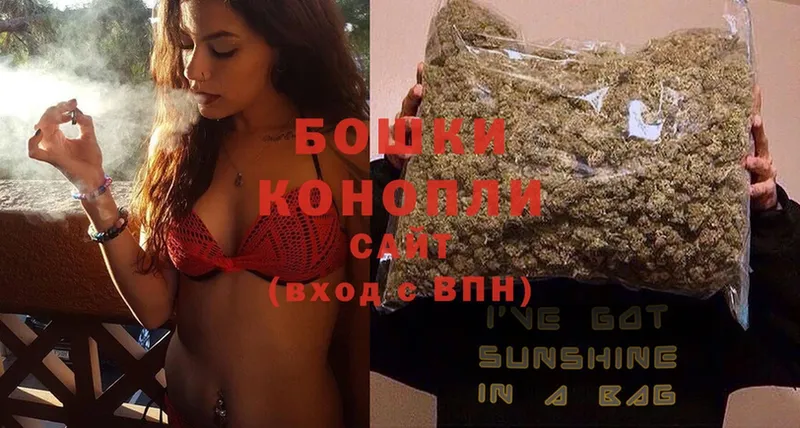 Каннабис OG Kush  купить   Кораблино 